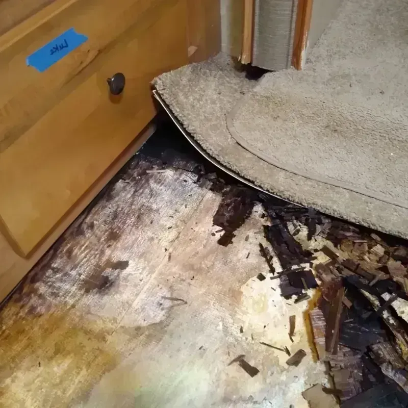 Wood Floor Water Damage in Hallandale Beach, FL